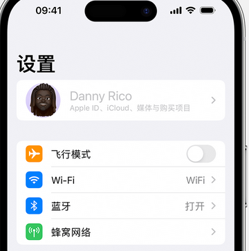 昂仁appleID维修服务iPhone设置中Apple ID显示为灰色无法使用