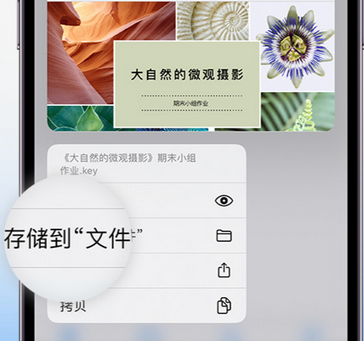 昂仁apple维修中心分享iPhone文件应用中存储和找到下载文件