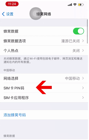 昂仁苹果14维修网分享如何给iPhone14的SIM卡设置密码 