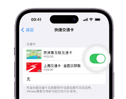 昂仁apple维修点分享iPhone上更换Apple Pay快捷交通卡手绘卡面 