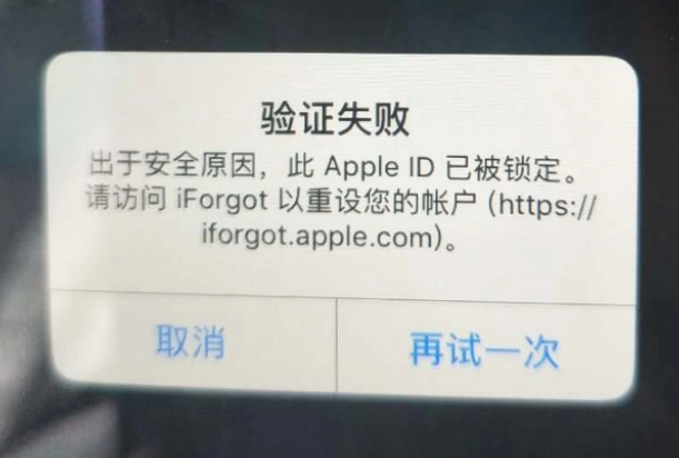 昂仁iPhone维修分享iPhone上正常登录或使用AppleID怎么办 