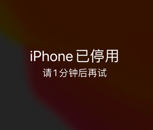 昂仁苹果手机维修分享:iPhone 显示“不可用”或“已停用”怎么办？还能保留数据吗？ 