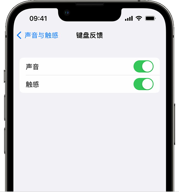 昂仁苹果14维修店分享如何在 iPhone 14 机型中使用触感键盘 