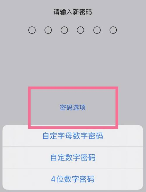 昂仁苹果14维修分享iPhone 14plus设置密码的方法 