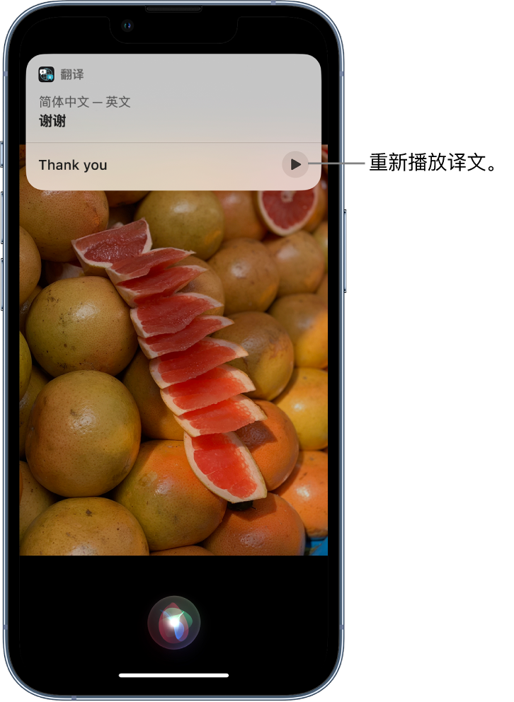 昂仁苹果14维修分享 iPhone 14 机型中使用 Siri：了解 Siri 能帮你做什么 