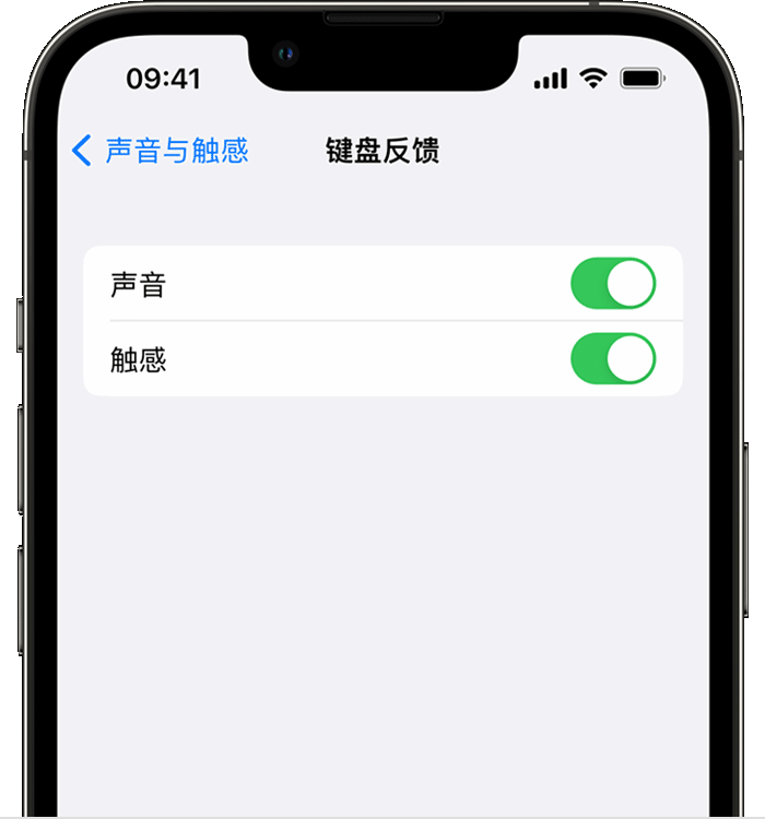 昂仁苹果14维修分享iPhone 14 系列机型如何开启键盘声音或触感反馈 