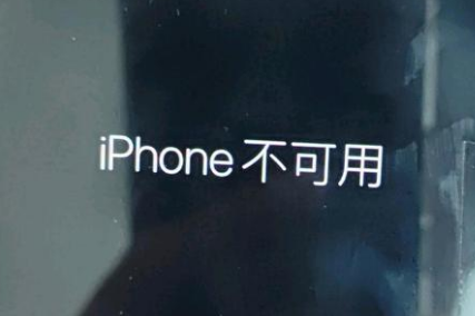 昂仁苹果服务网点分享锁屏界面显示“iPhone 不可用”如何解决 