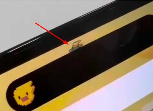 昂仁苹果14维修分享iPhone 14 Pro Max灵动岛怎么养宠物 