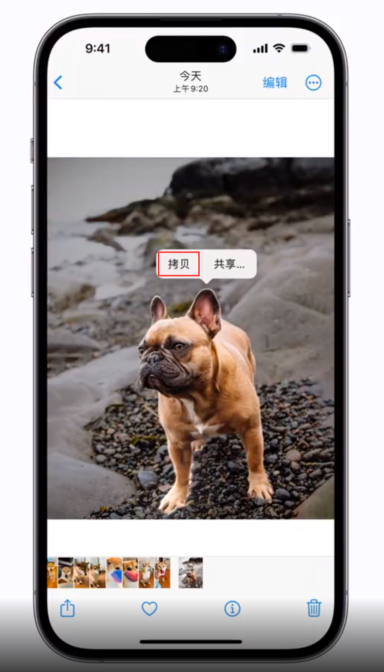 昂仁苹果手机维修分享 iOS 16 自带一键抠图功能 