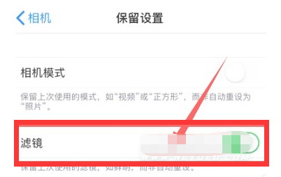 昂仁苹果13维修分享iPhone13拍照有绿点是怎么回事 