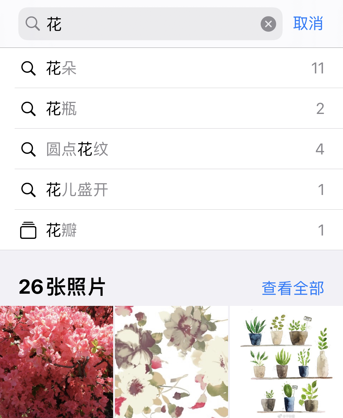 昂仁苹果手机维修分享iPhone 小技巧 