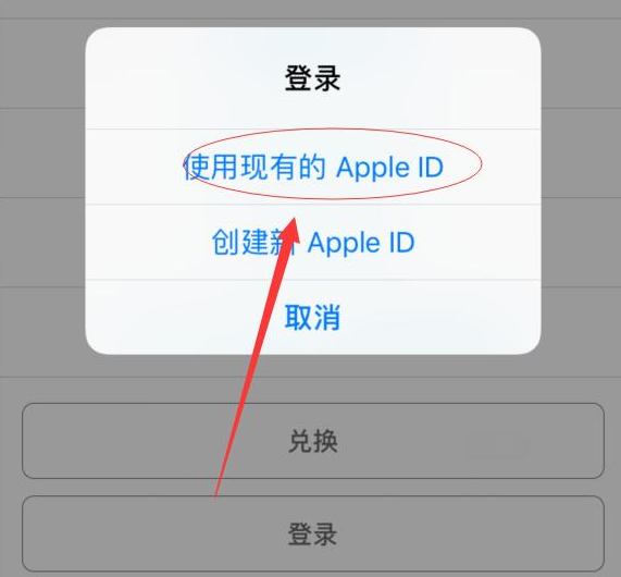 昂仁苹果手机维修分享两台iPhone设备可以同时登录一个Apple ID吗 