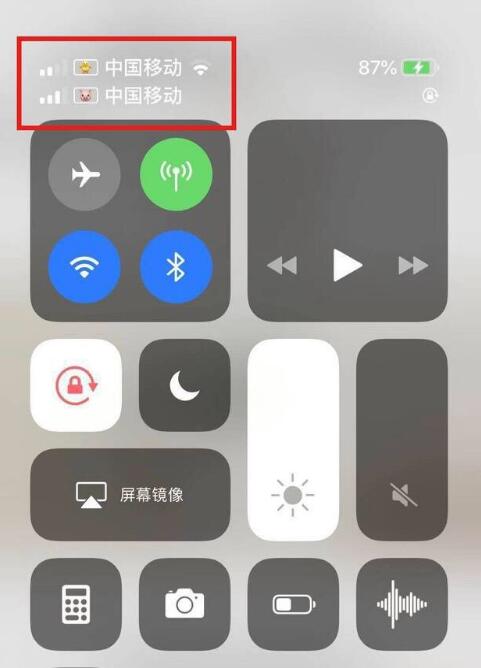 昂仁苹果手机维修分享为 iPhone 12 双卡设置标签 