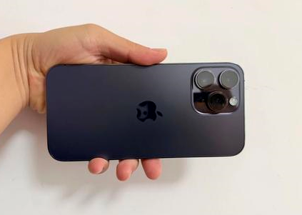 昂仁苹果维修点分享iPhone 14 Pro Max黑屏少见故障盘点 